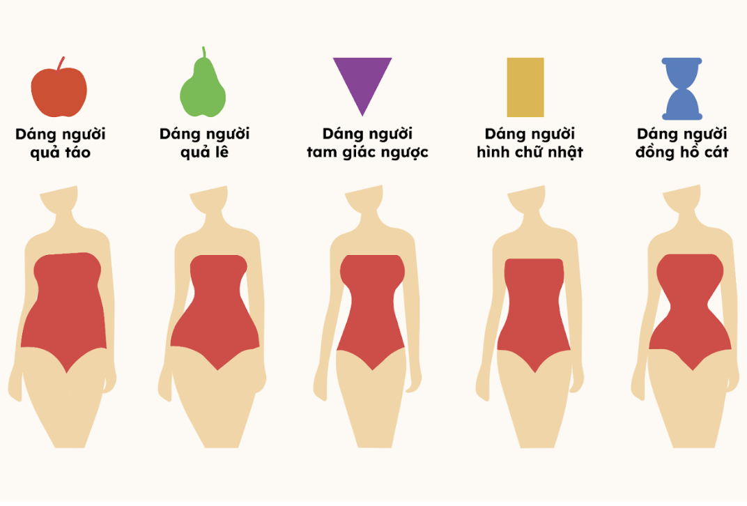 Cách chọn váy công sở đẹp cho mùa hè Nhận biết các dáng cơ thể để chọn đồ phù hợp