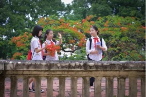 nghi he 2