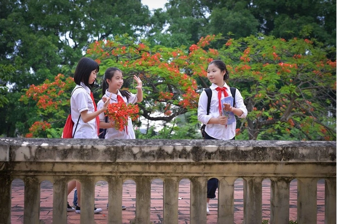 nghi he 2
