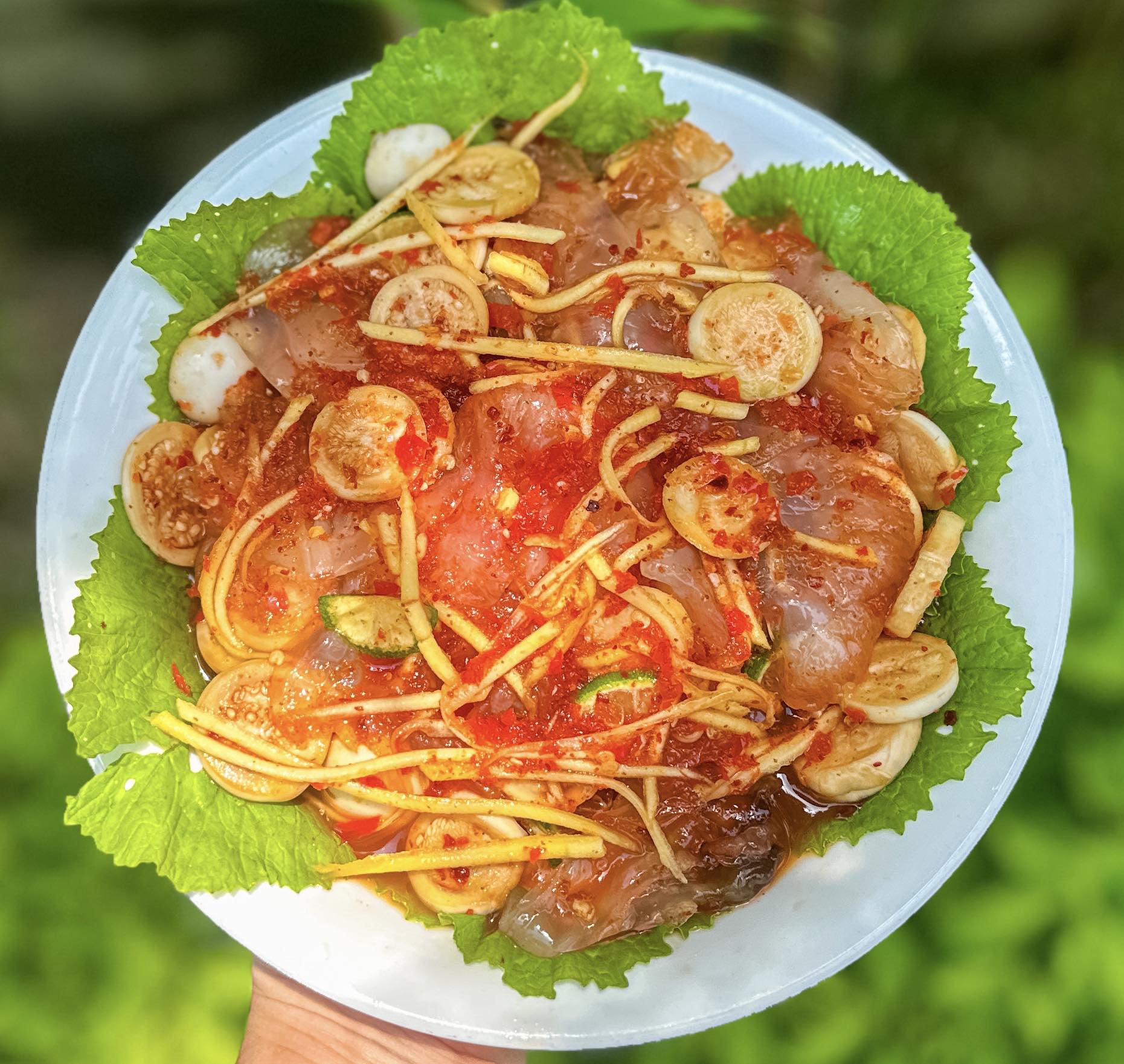 cách làm sứa ngâm mắm nhĩ cà pháo
